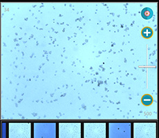 中國將在藥品領域全面停止使用含氟藥品