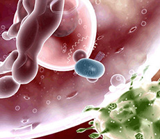 免疫療法，你值得關(guān)注！